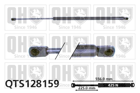 QUINTON HAZELL dujinė spyruoklė, bagažinė QTS128159